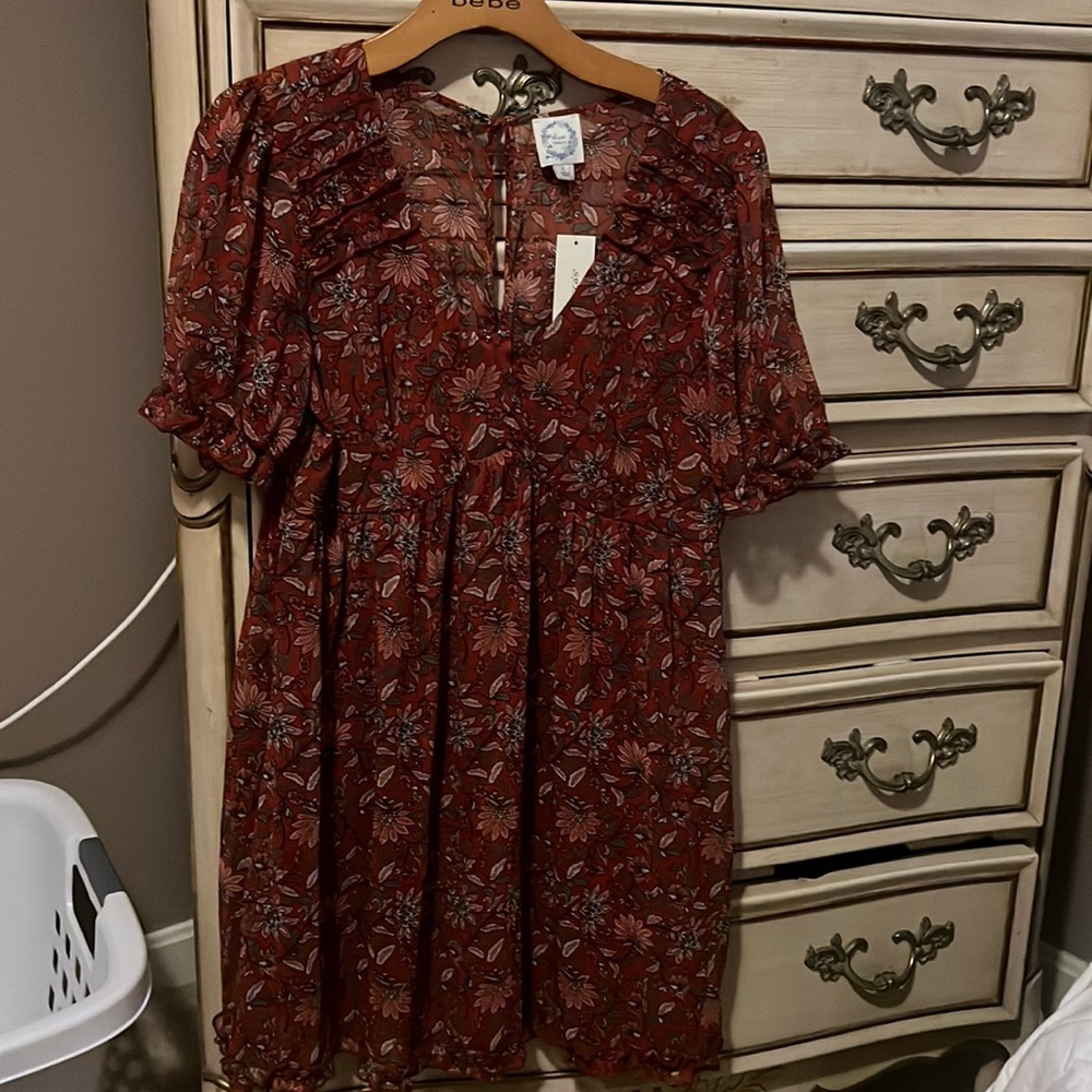 Brand new cute blue rain dress in Large from Francesca’s